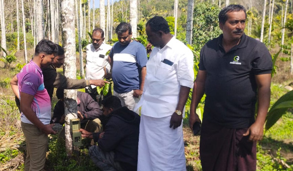 വാകേരി ചോയിക്കൊല്ലിയില്‍ കടുവ സാന്നിധ്യം