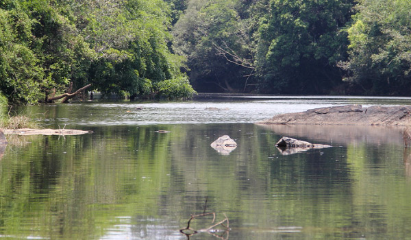 കബനി നദിയില്‍  മൈക്രോ പ്ലാസ്റ്റിക്കിന്റെ സാന്നിധ്യം