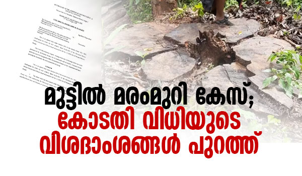 മുട്ടിൽ മരംമുറി കേസ് ;  കോടതി വിധിയുടെ വിശദാംശങ്ങൾ പുറത്ത്