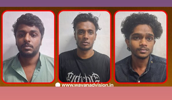 വനിതാ എസ്.ഐയെ അക്രമിച്ചു പരിക്കേല്പിച്ച   സംഭവത്തിൽ കാപ്പ കേസ് പ്രതിയടക്കം മൂന്ന് പേർ പിടിയിൽ.